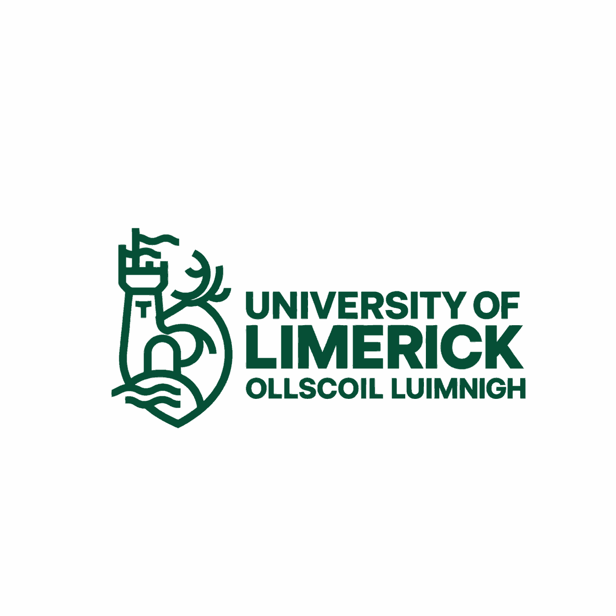 University of Limerick